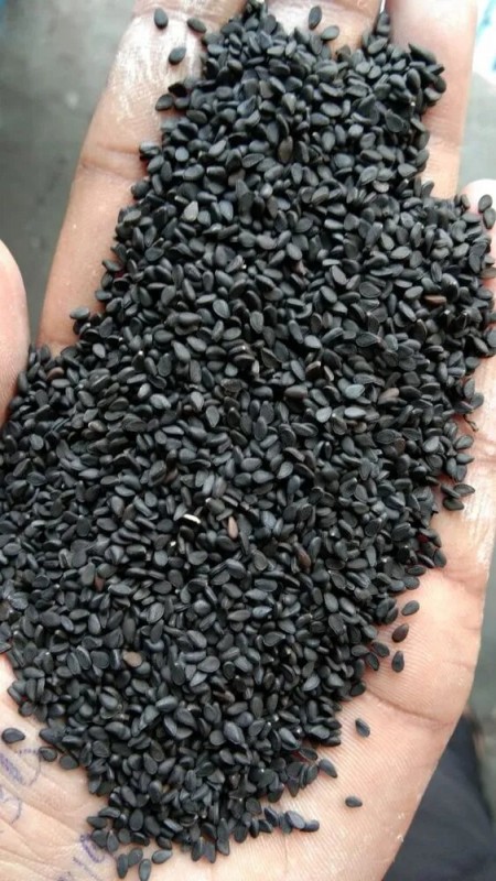 Black Sesame Seed from India